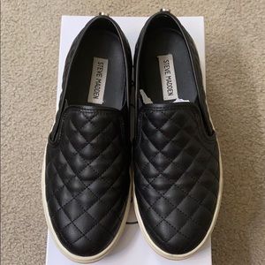 Steve Madden ECENTRCQ slip on sneaker